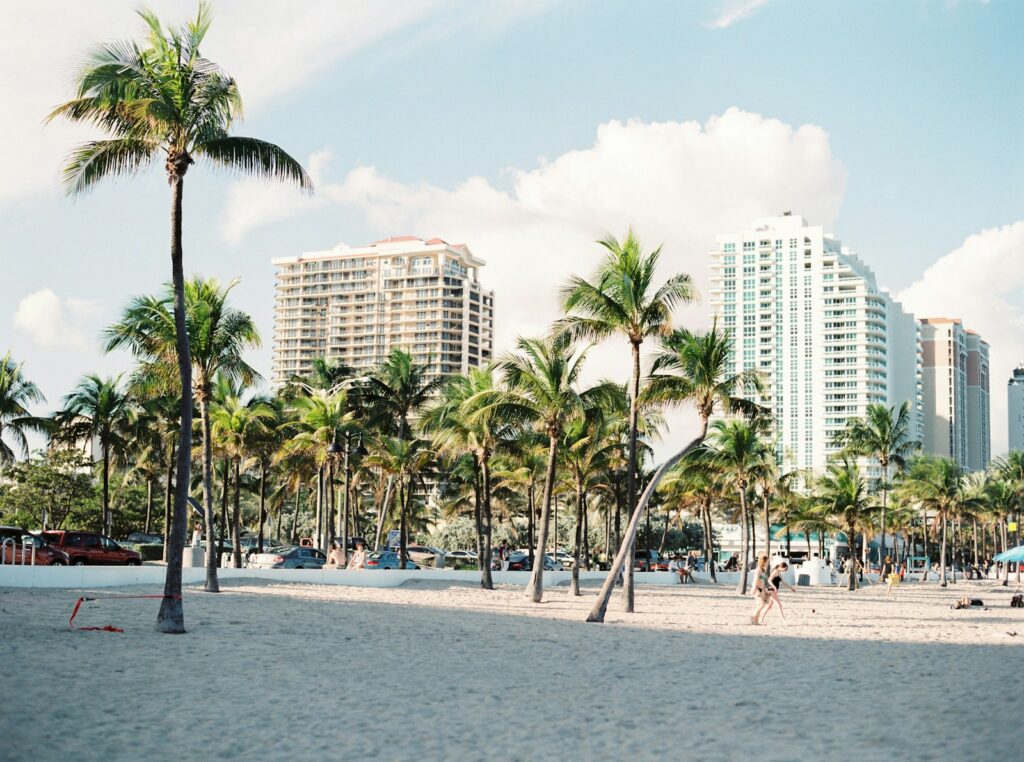 palm trees near buildings i miami for couples spending valentines day