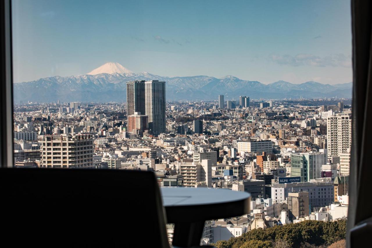 view on mount fuji from tokyo hotel